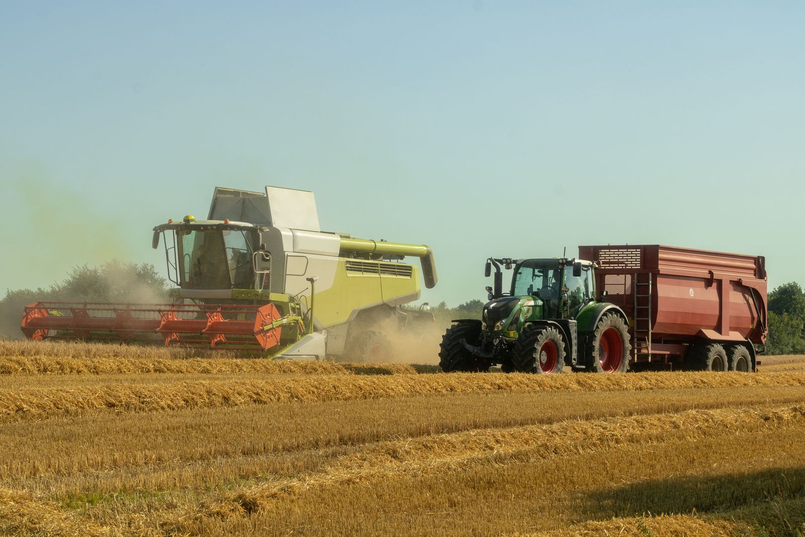 Campo de cultivo de cereales con maquinaria de cosecha al atardecer