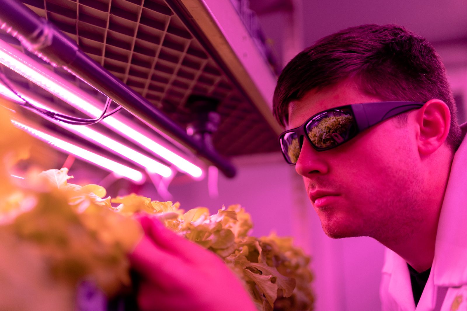 Bandejas de cultivos de hoja verde iluminadas por luces LED en un entorno subterráneo
