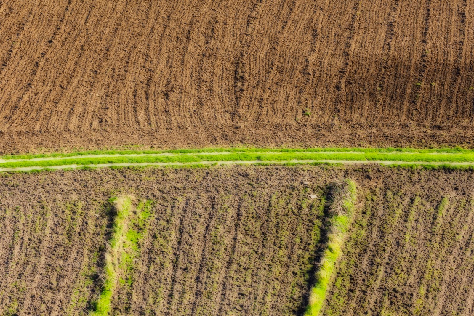 Campo de cultivo con suelo fértil y vegetación de cobertura