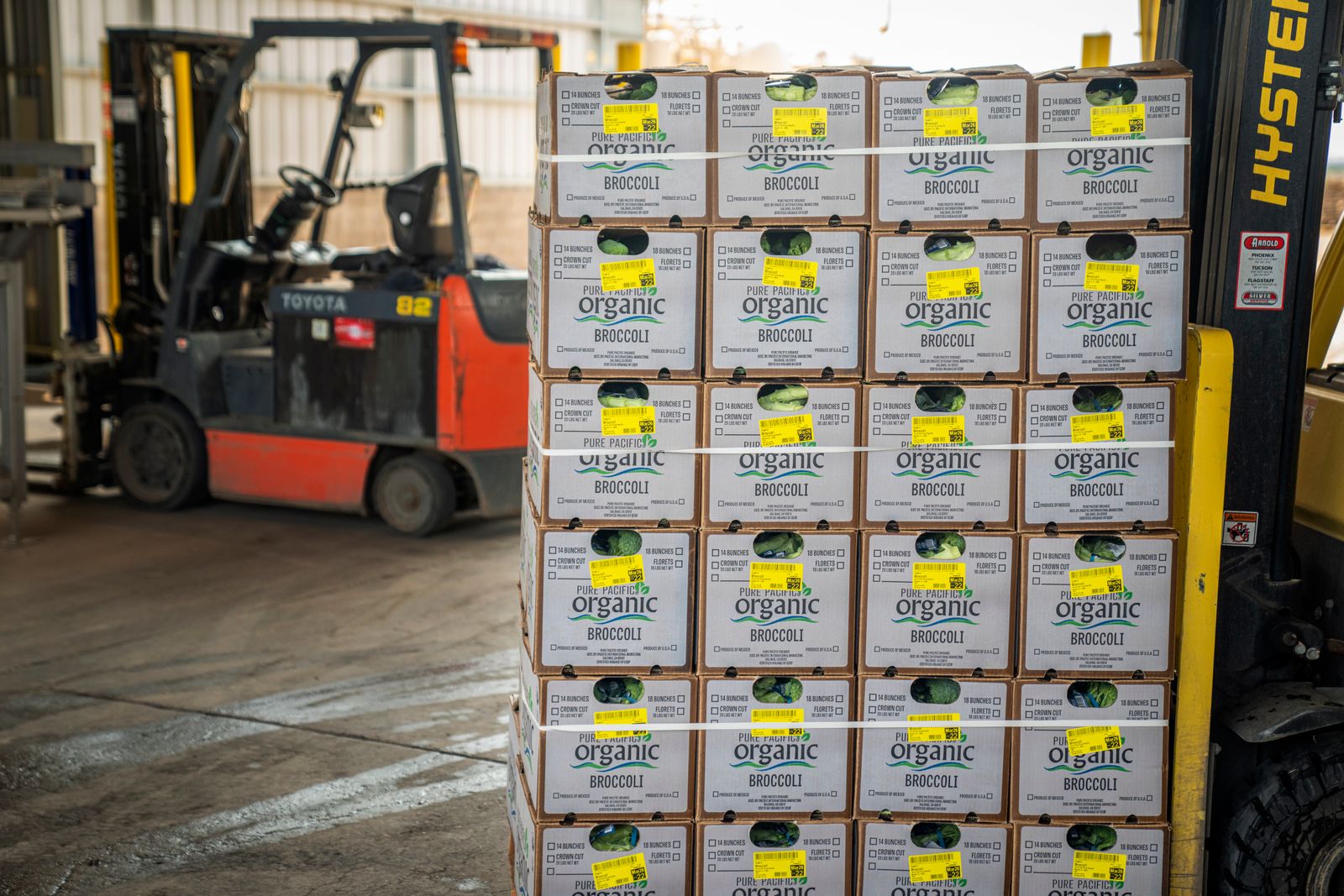 Frutas y verduras en cajas sobre una cinta transportadora en un centro logístico de alimentos