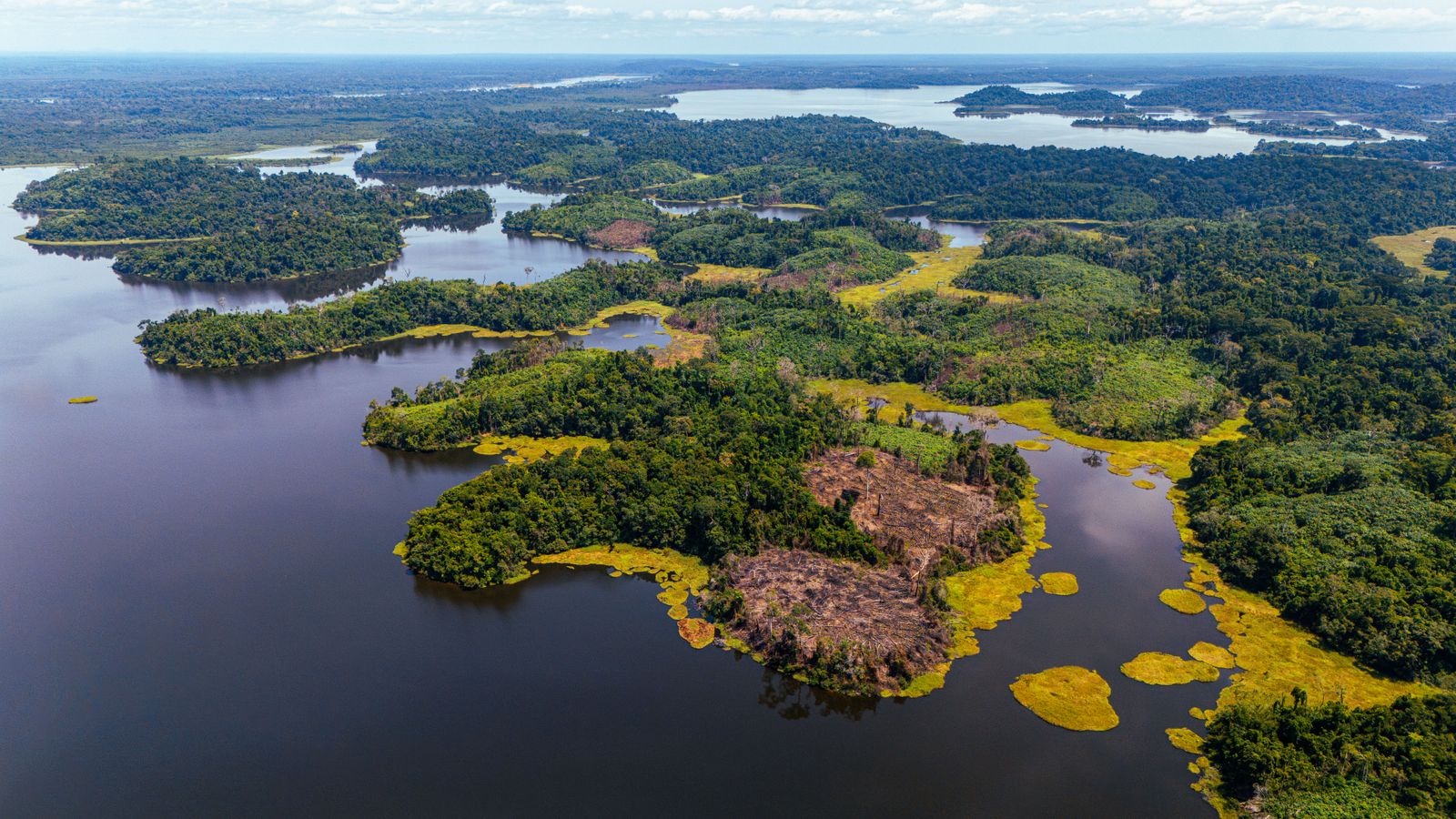 Paisaje natural con ríos y vegetación en América Latina
